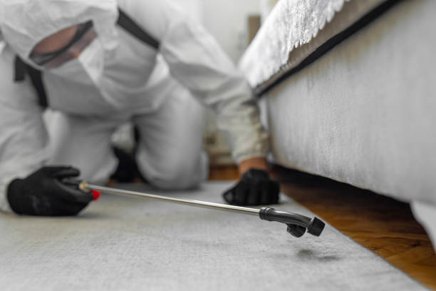 Professional Bed Bug Control technician working in Nashwauk, MN
