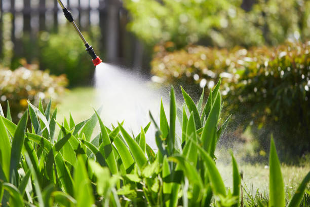 24/7 Emergency Bed Bug Control experts in Nashwauk, MN