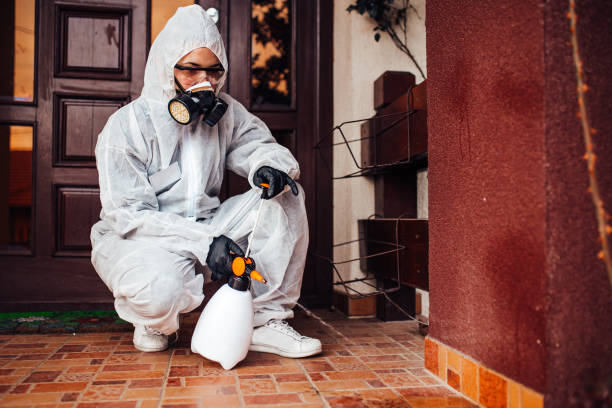 Reliable Bed Bug Control contractor in Nashwauk, MN by Nex Pest Control