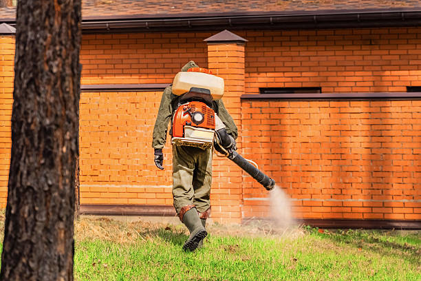 Trusted Cockroach Control service in Nashwauk, MN - Nex Pest Control